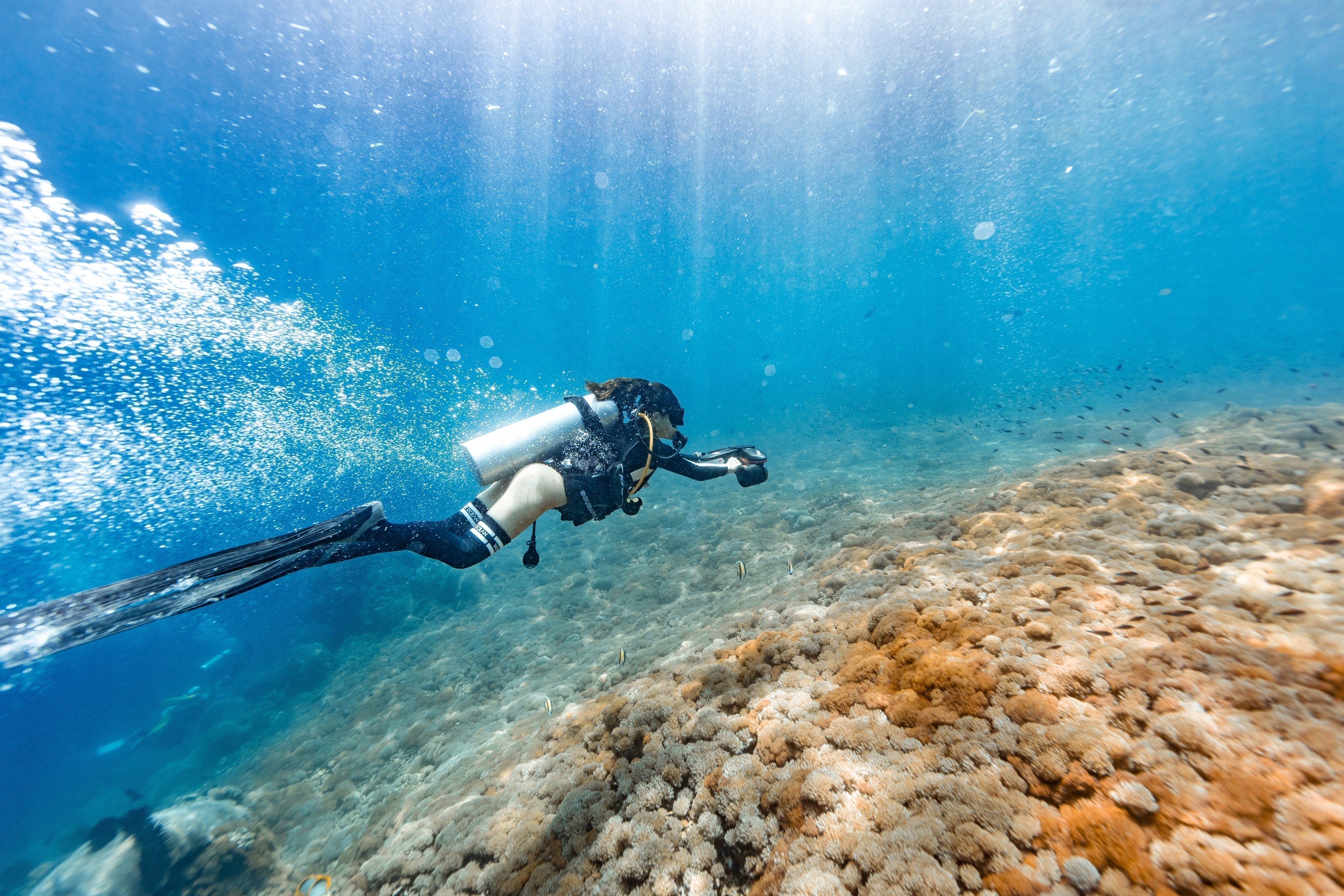 Are Underwater Scooters Worth to Try?