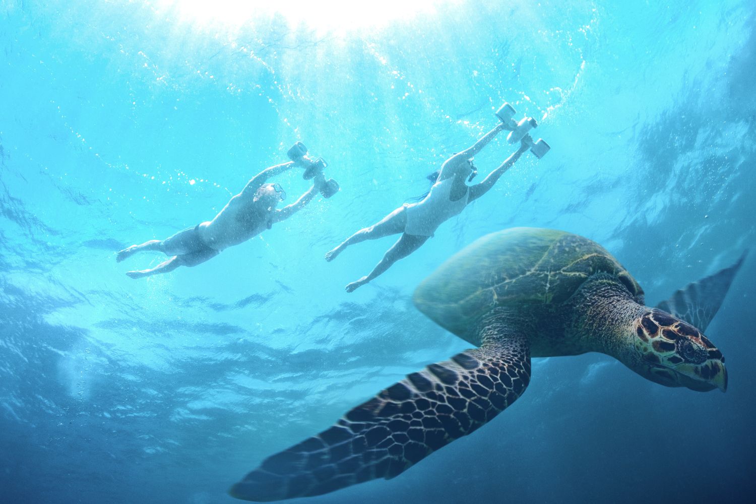 Dive Deeper: The Sublue Transformation in Underwater Scooters and Water Fun - Points To Understand