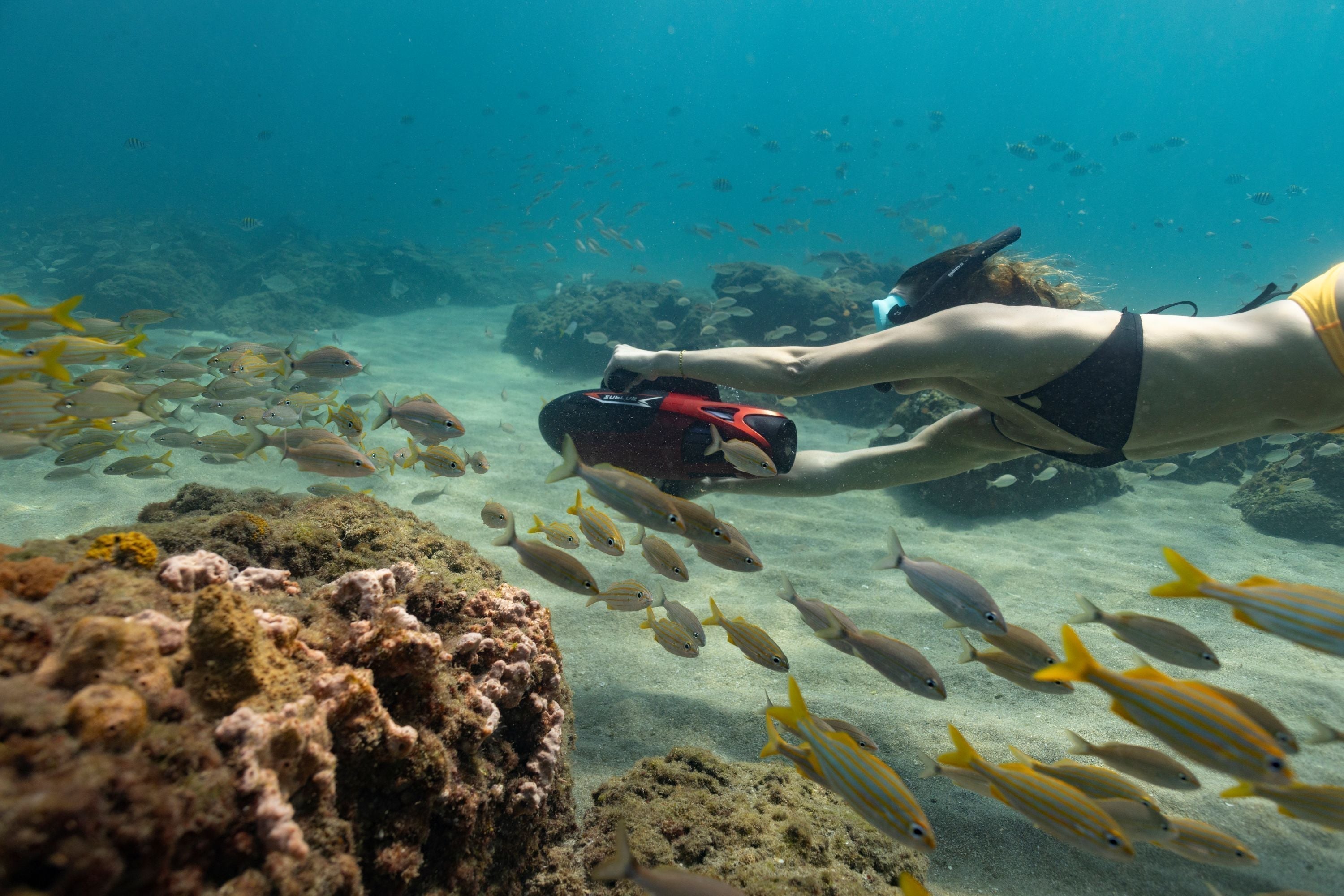 Common Types of Scuba Diving