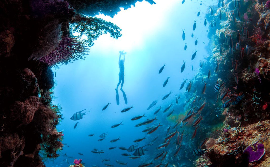 DIVING 101: The Life-Changing Benefits of Free Diving