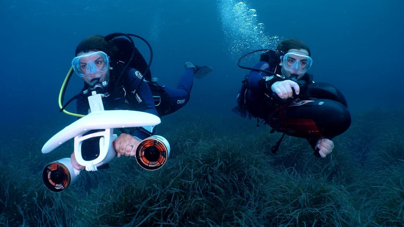 What is the No. 1 Rule in Freediving?