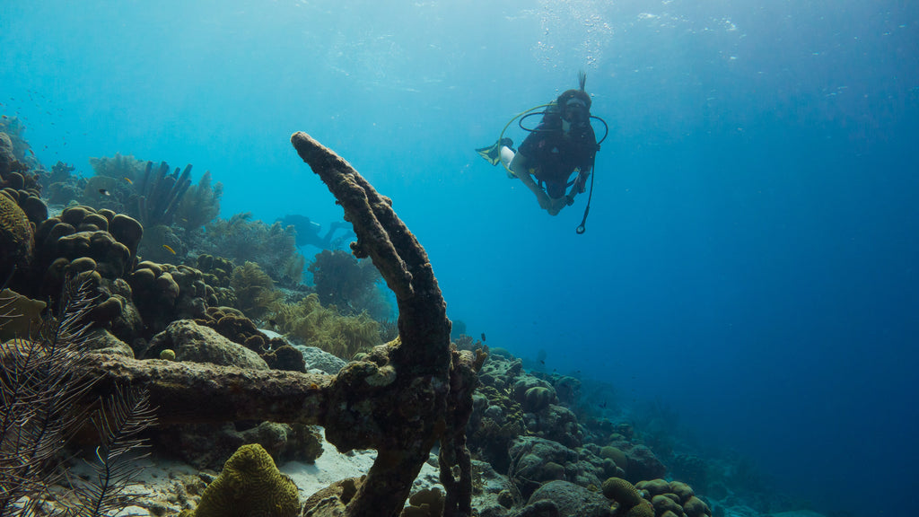 Scuba Diving 101: Dive Better And Safer With These 5 Diving Tips