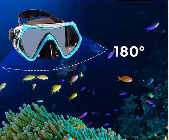 a scuba diving mask and fish in the water