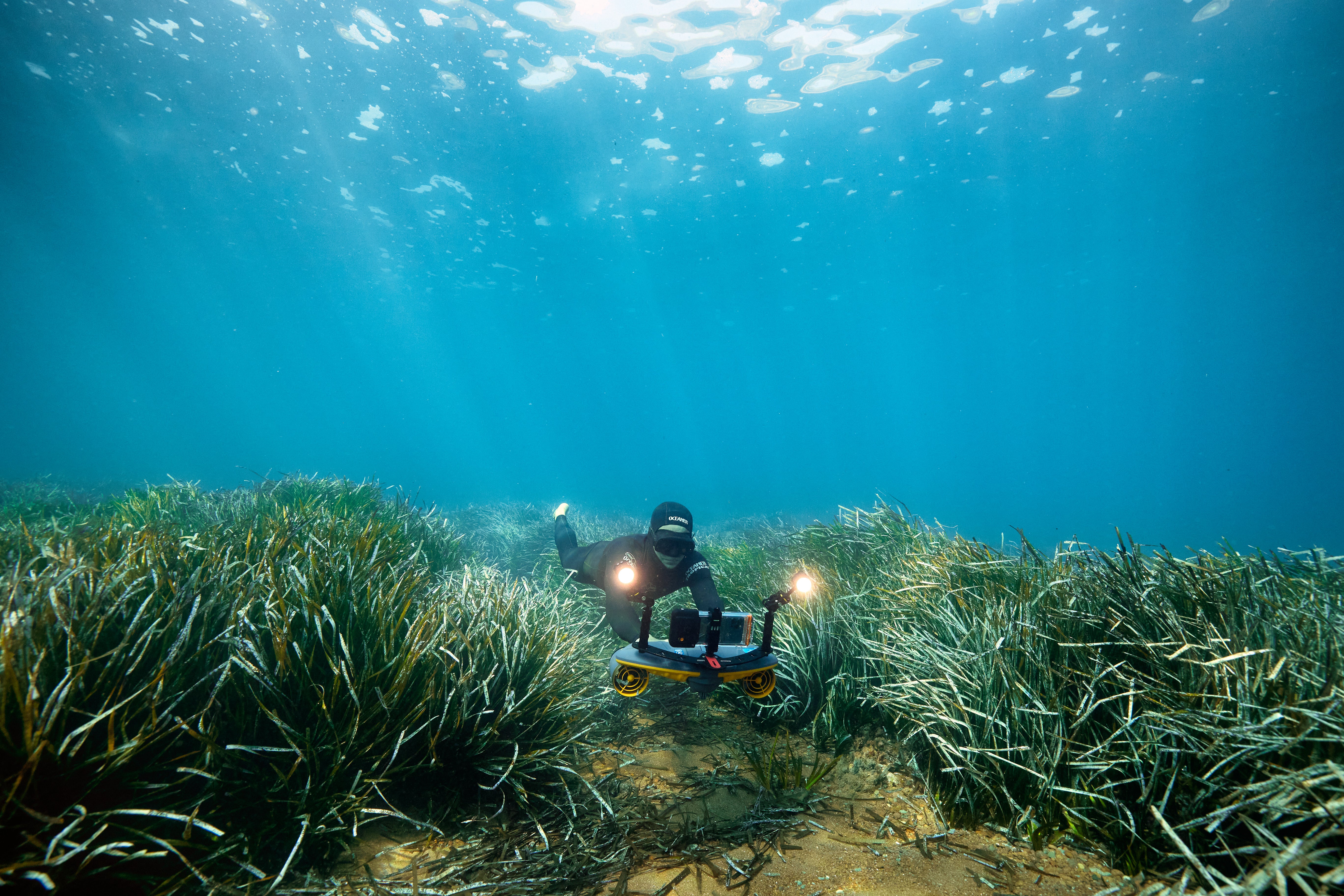 Diver exploring seagrass with Sublue Waterproof LED Light and camera rig underwater.