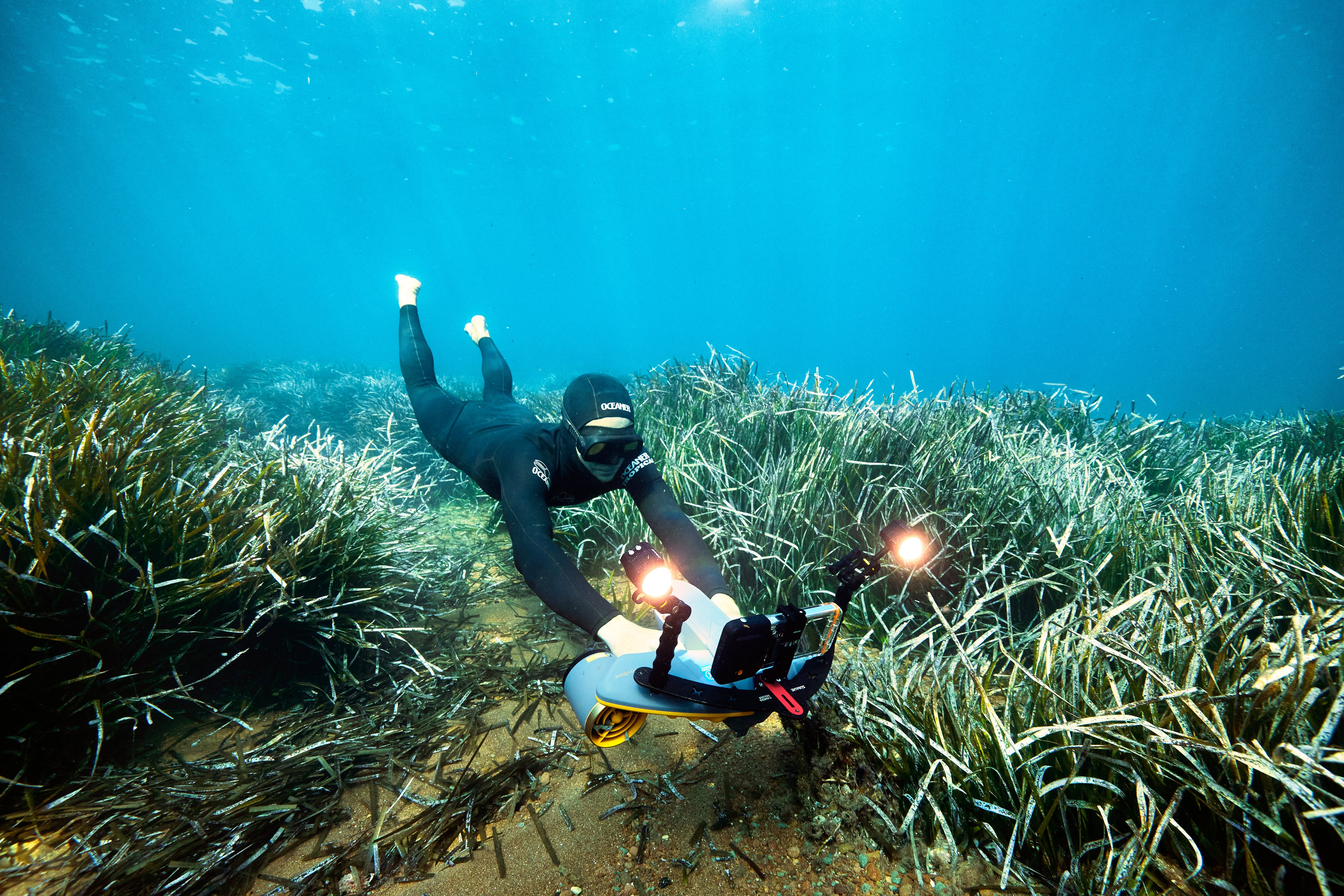 Diver using Sublue Waterproof LED Light while exploring underwater seagrass bed.