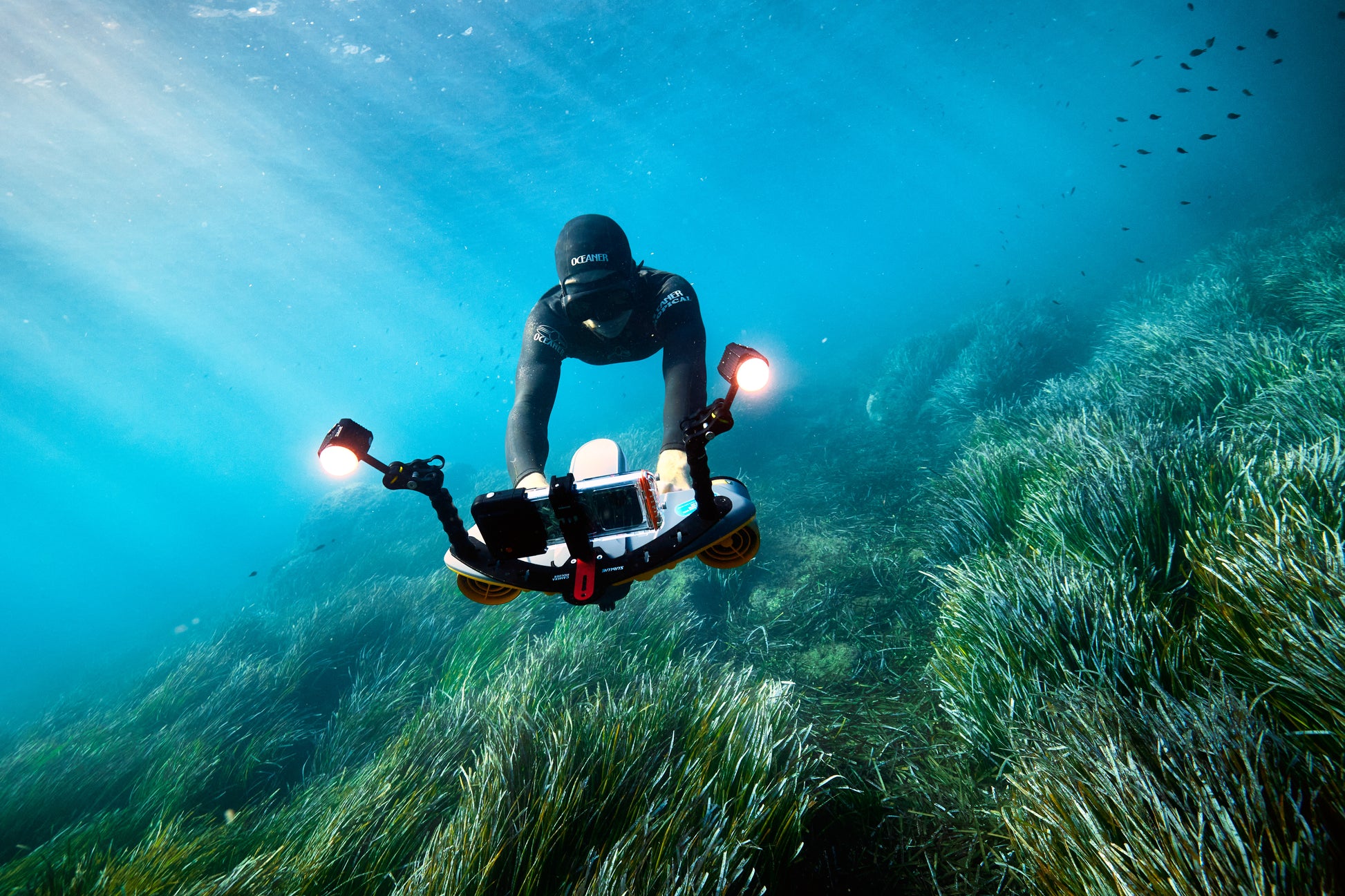 Diver in black wetsuit operating Sublue LED lights with underwater camera in seagrass.