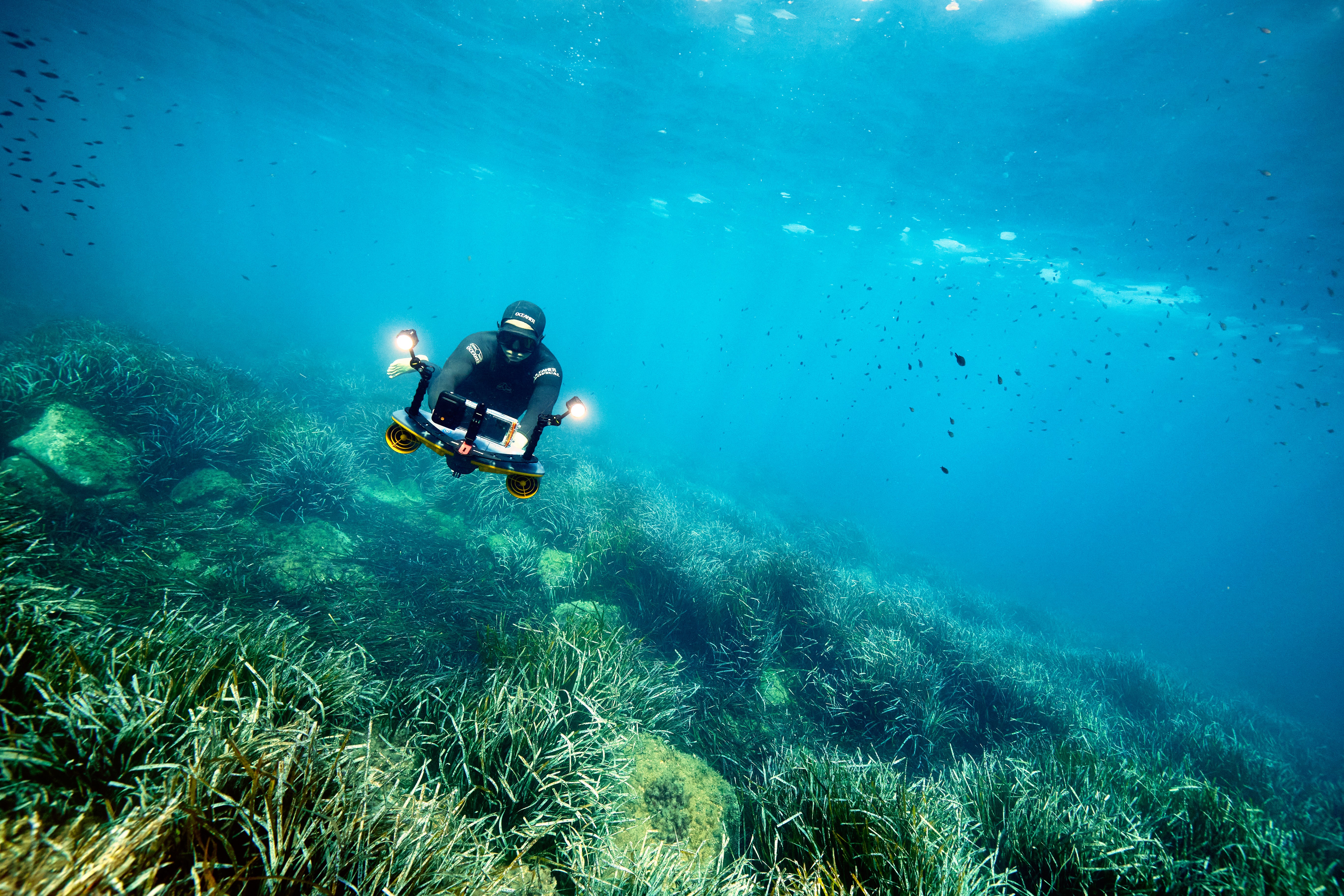 Diver on Sublue scooter illuminating underwater seagrass.