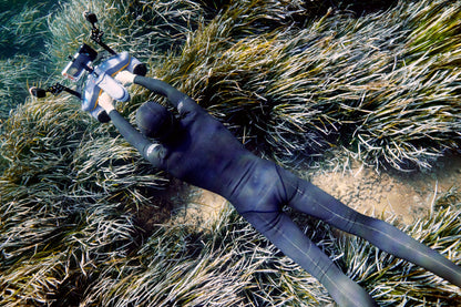 Diver using underwater camera with Sublue LED light above seagrass bed