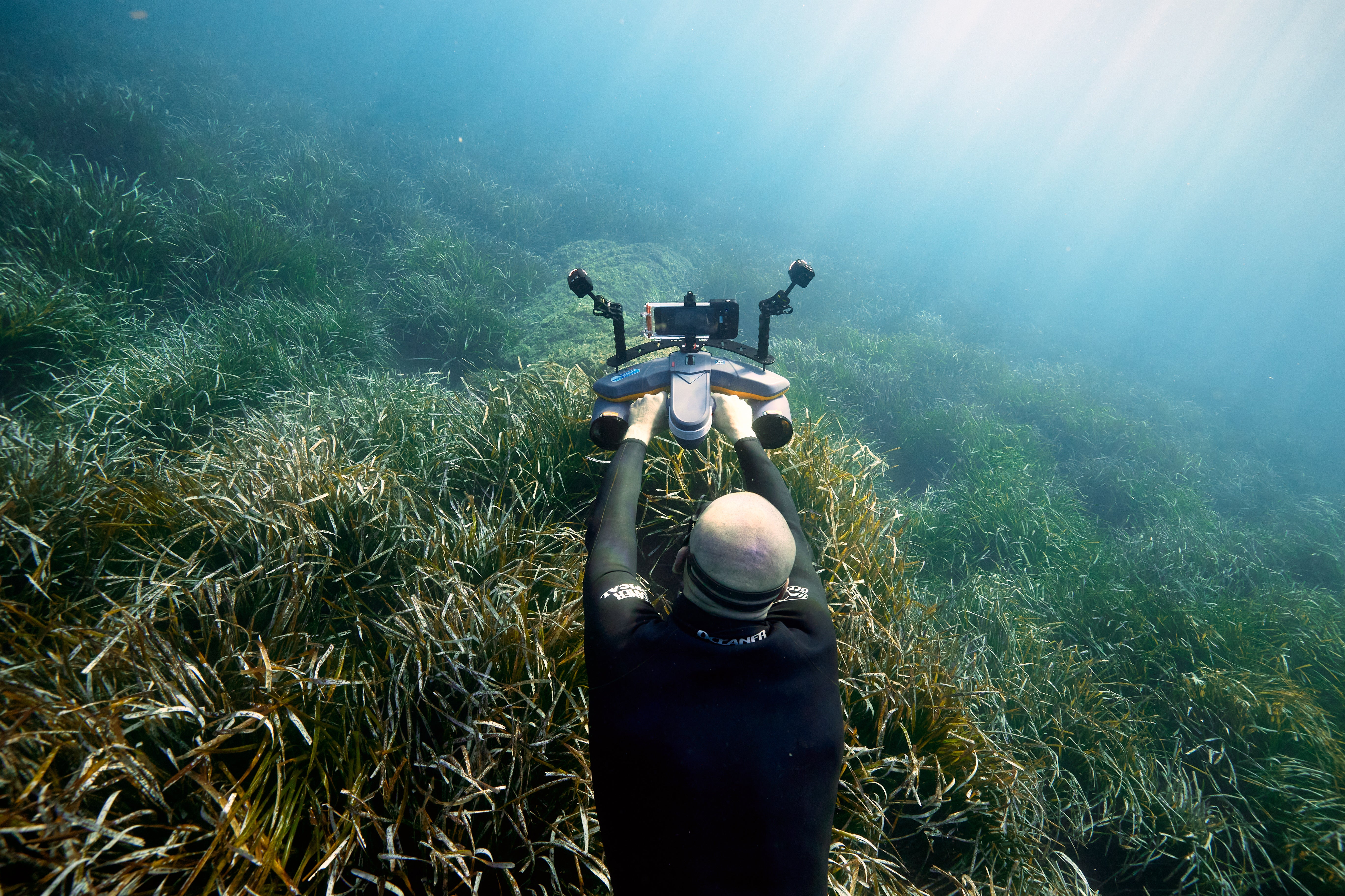 Diver capturing underwater photography with camera rig in seagrass bed