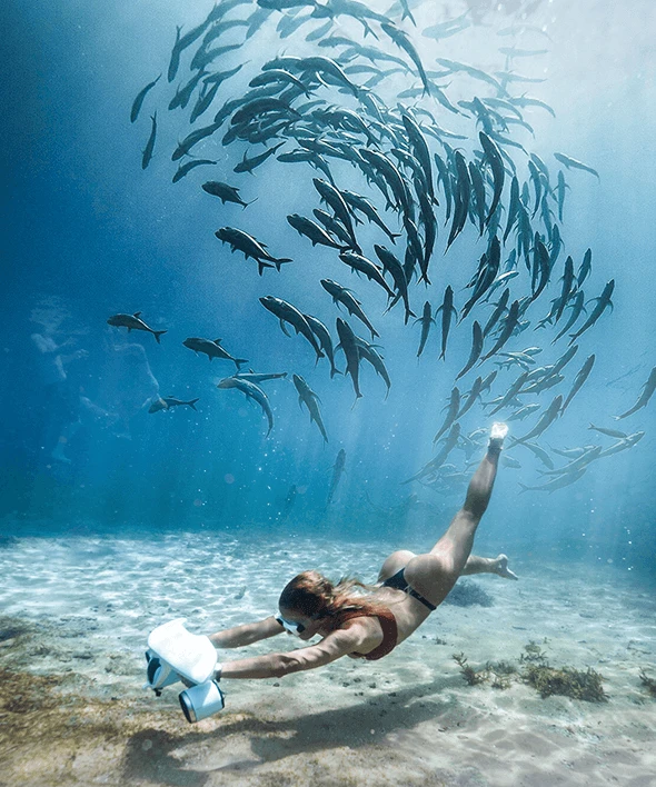 a woman swimming with fish