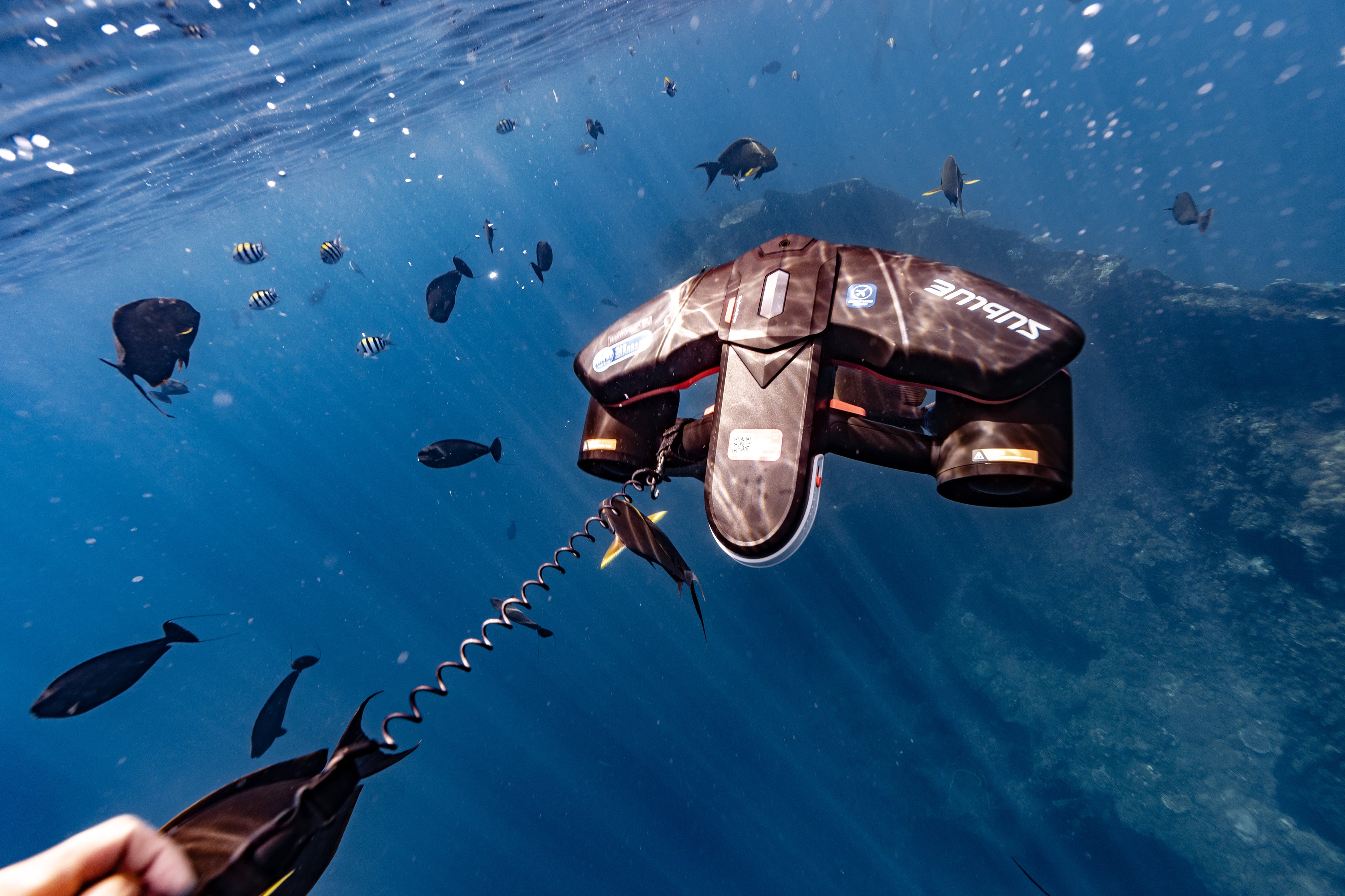 Sublue underwater scooter with anti-lost lanyard in marine habitat.