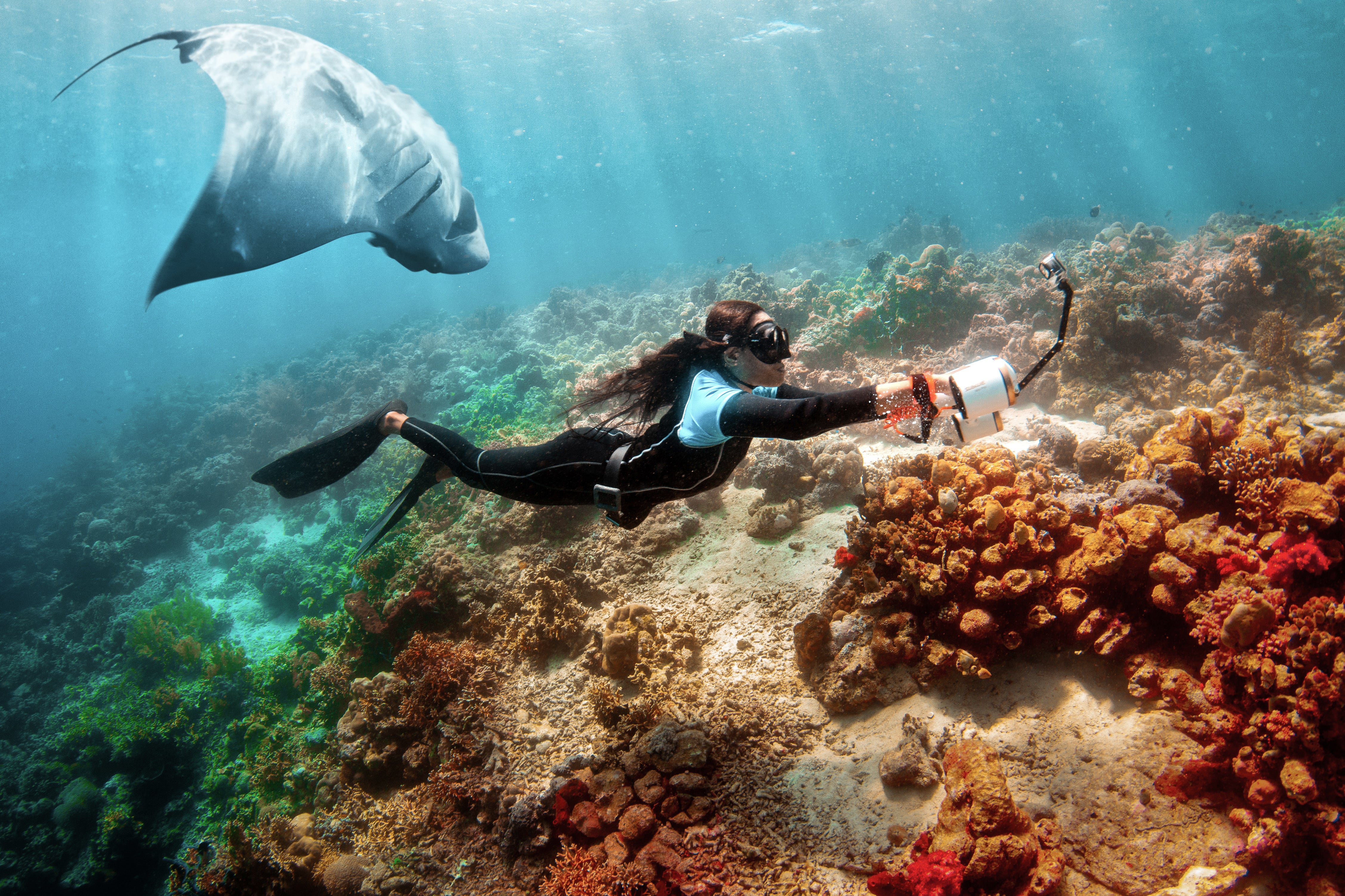 Diver using Sublue LED light for underwater exploration with coral and manta ray